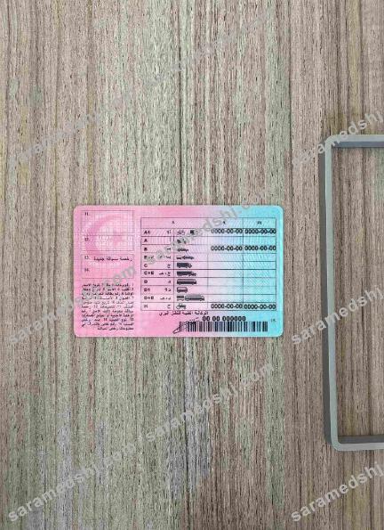 Tunisia driving license  photolook BACK